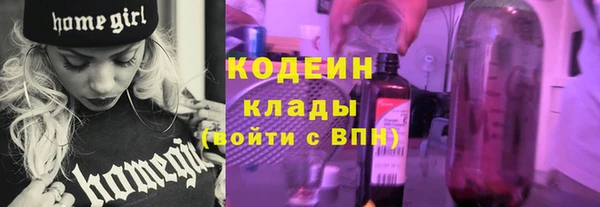 гидра Михайловка