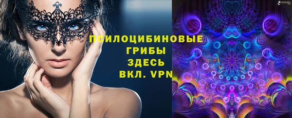 гидра Михайловка