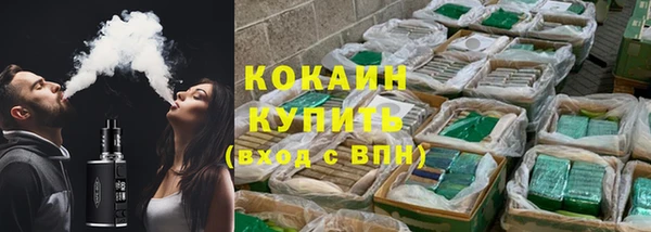 гидра Михайловка