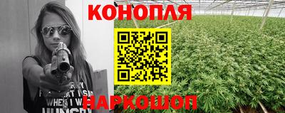 индика Балашиха