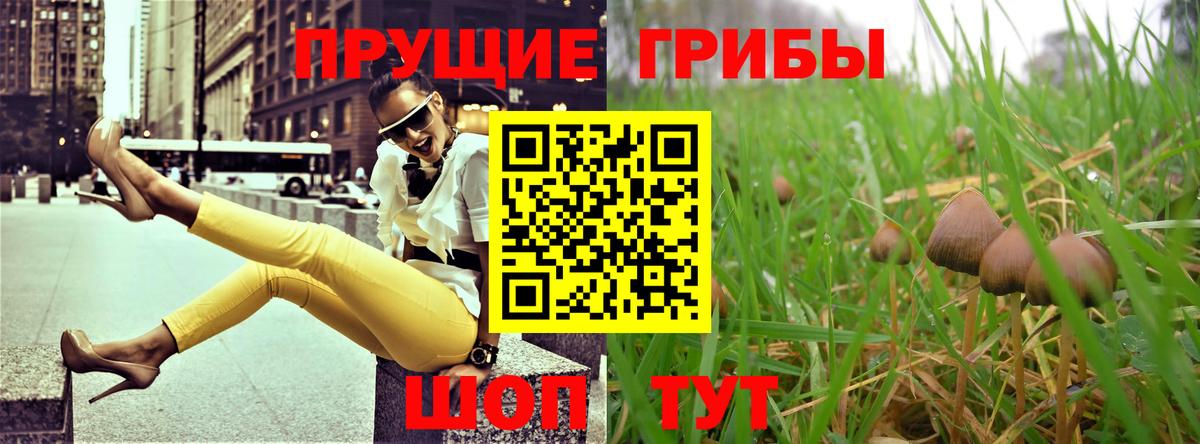 Псилоцибиновые грибы GOLDEN TEACHER  Волгоград 